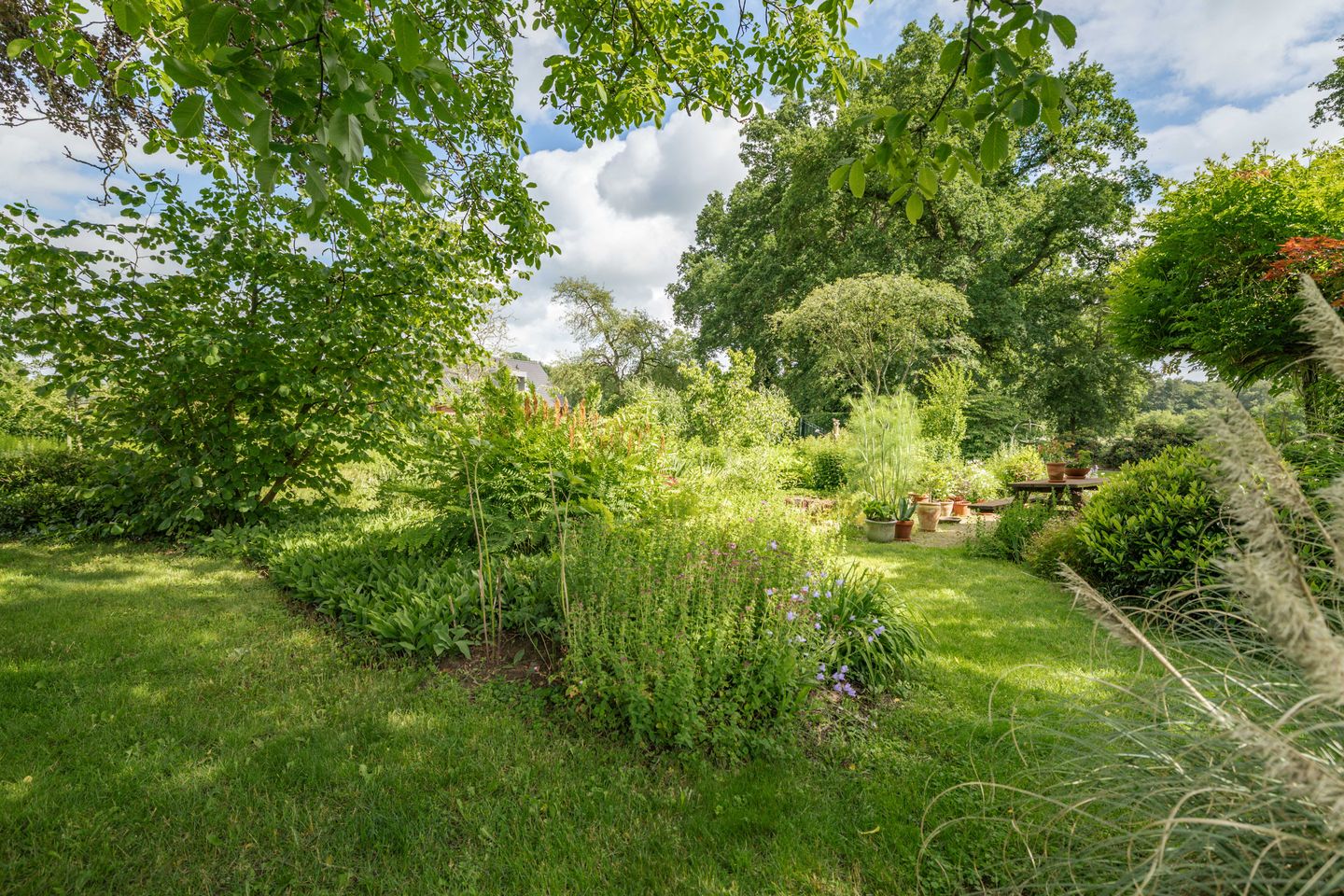 Photo 55 of Oxerweg 1