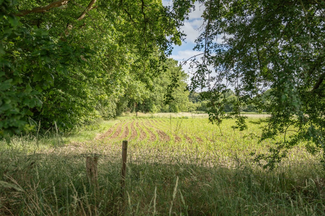 Photo 26 of Oxerweg 1