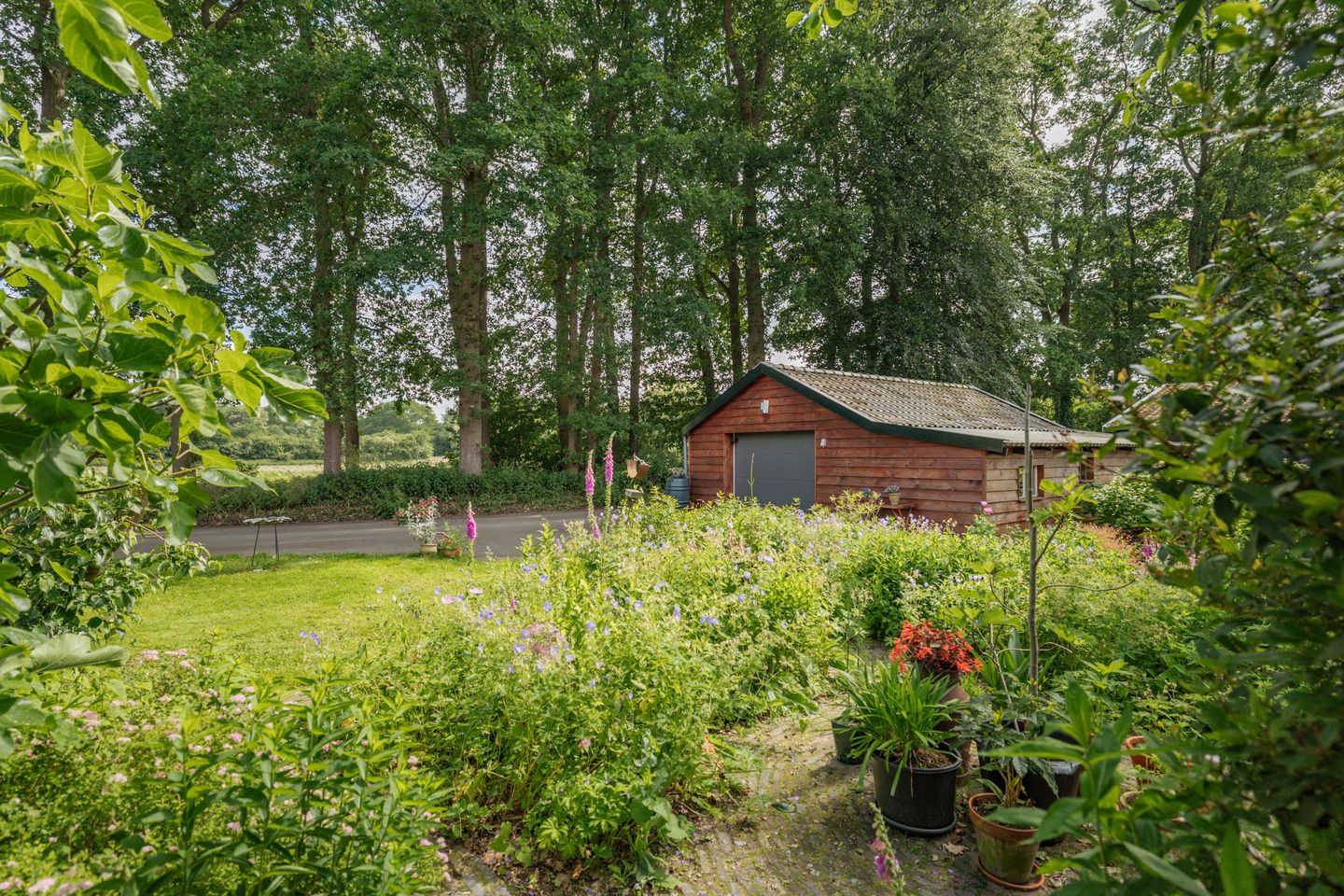 Photo 10 of Oxerweg 1