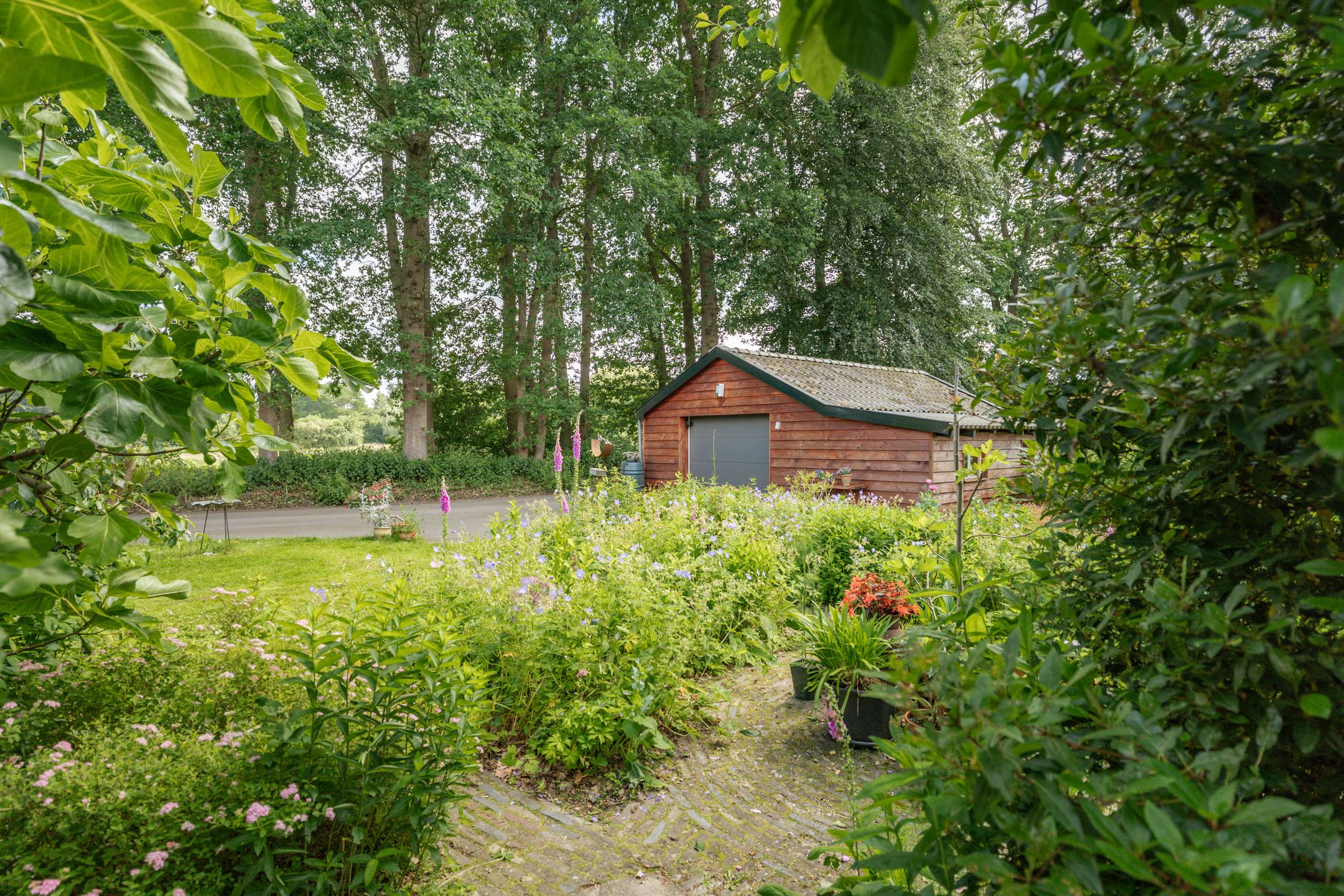 Photo 63 of Oxerweg 1