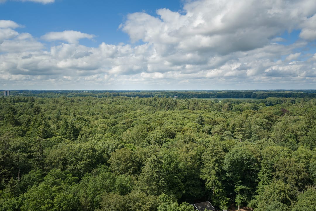 Photo 67 of Oxerweg 1