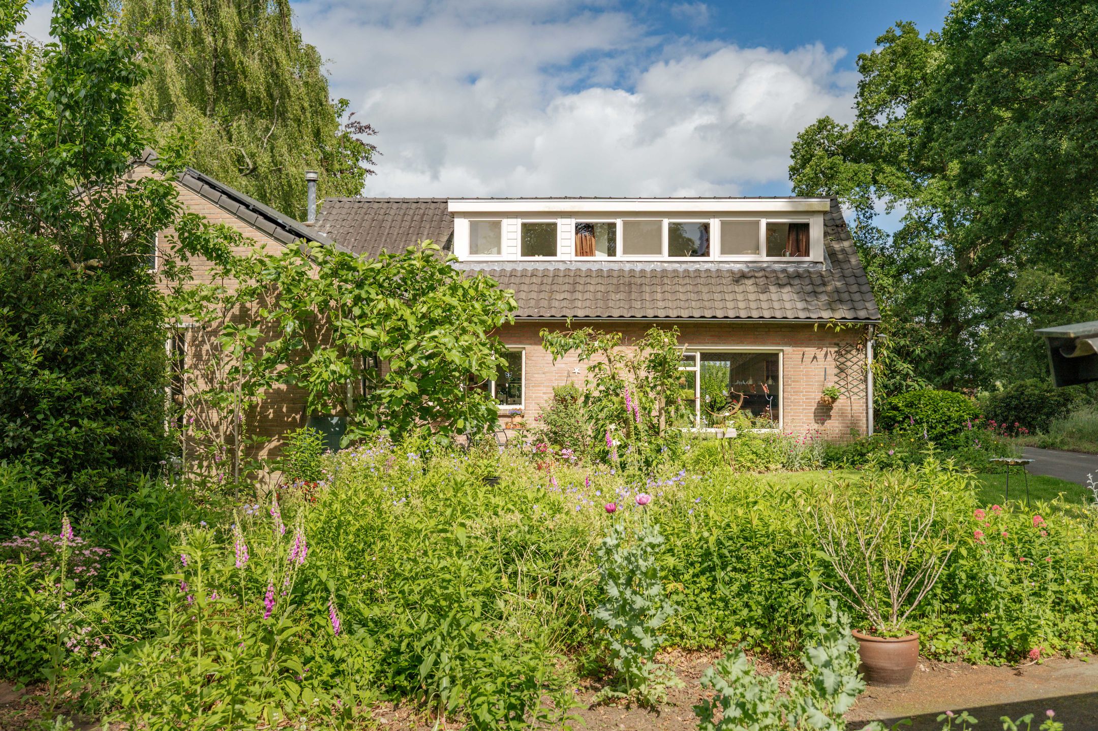 Photo 21 of Oxerweg 1
