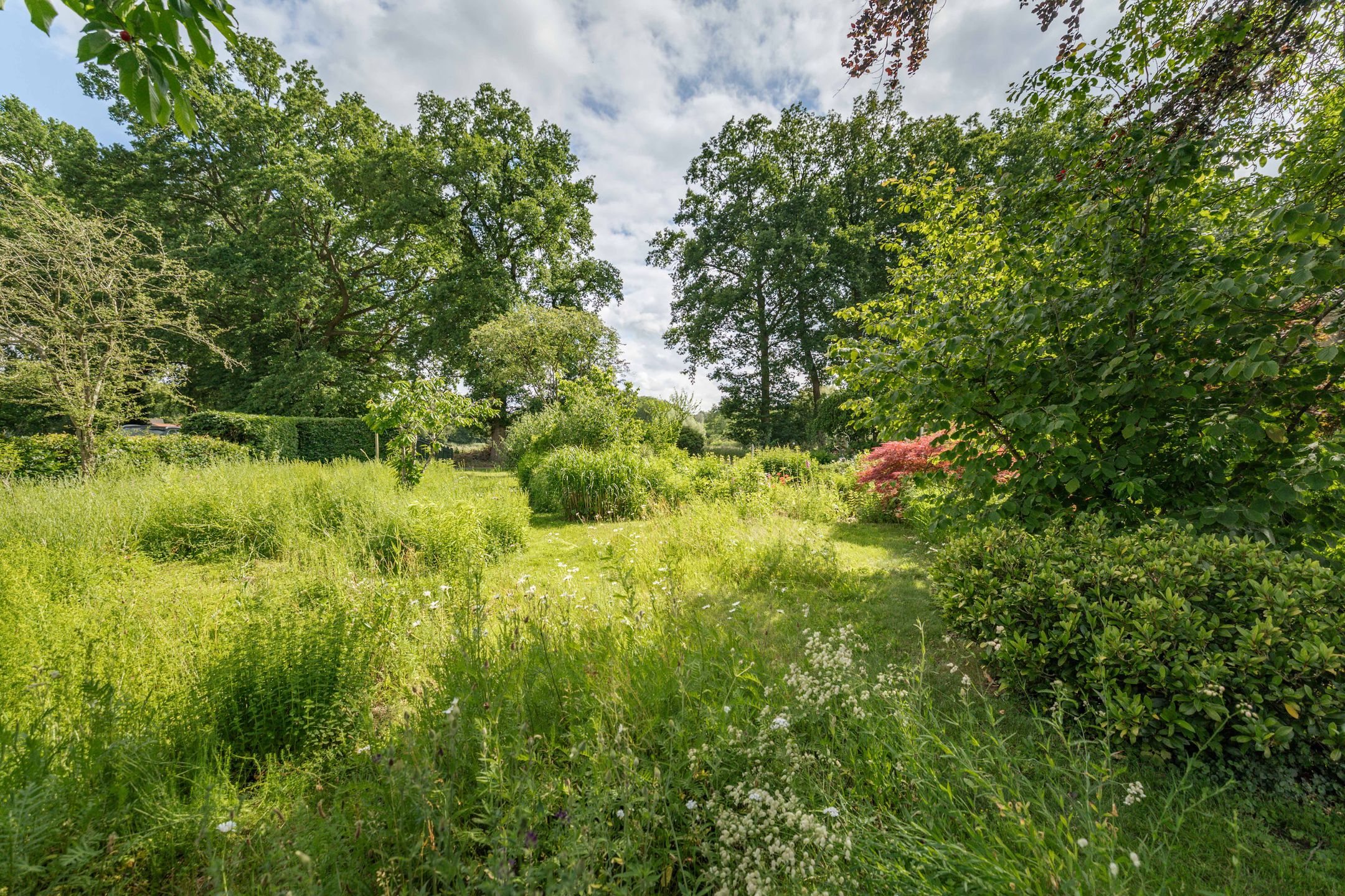 Photo 57 of Oxerweg 1