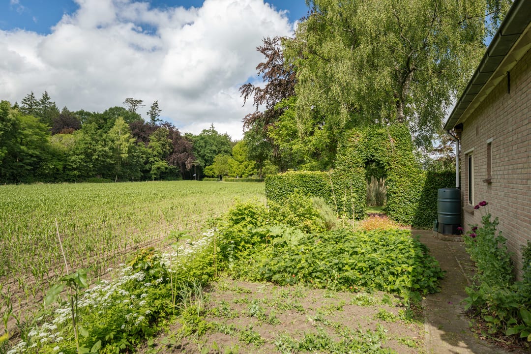 Photo 62 of Oxerweg 1