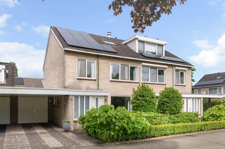 Populierenplein thumbnail