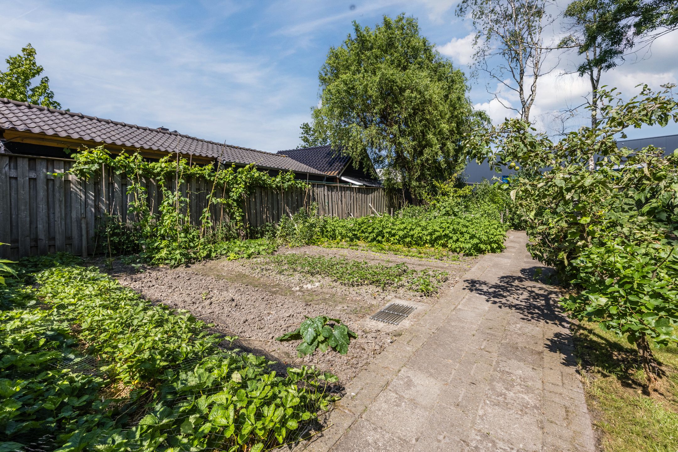 Photo 78 of Roosendaalsebaan 21
