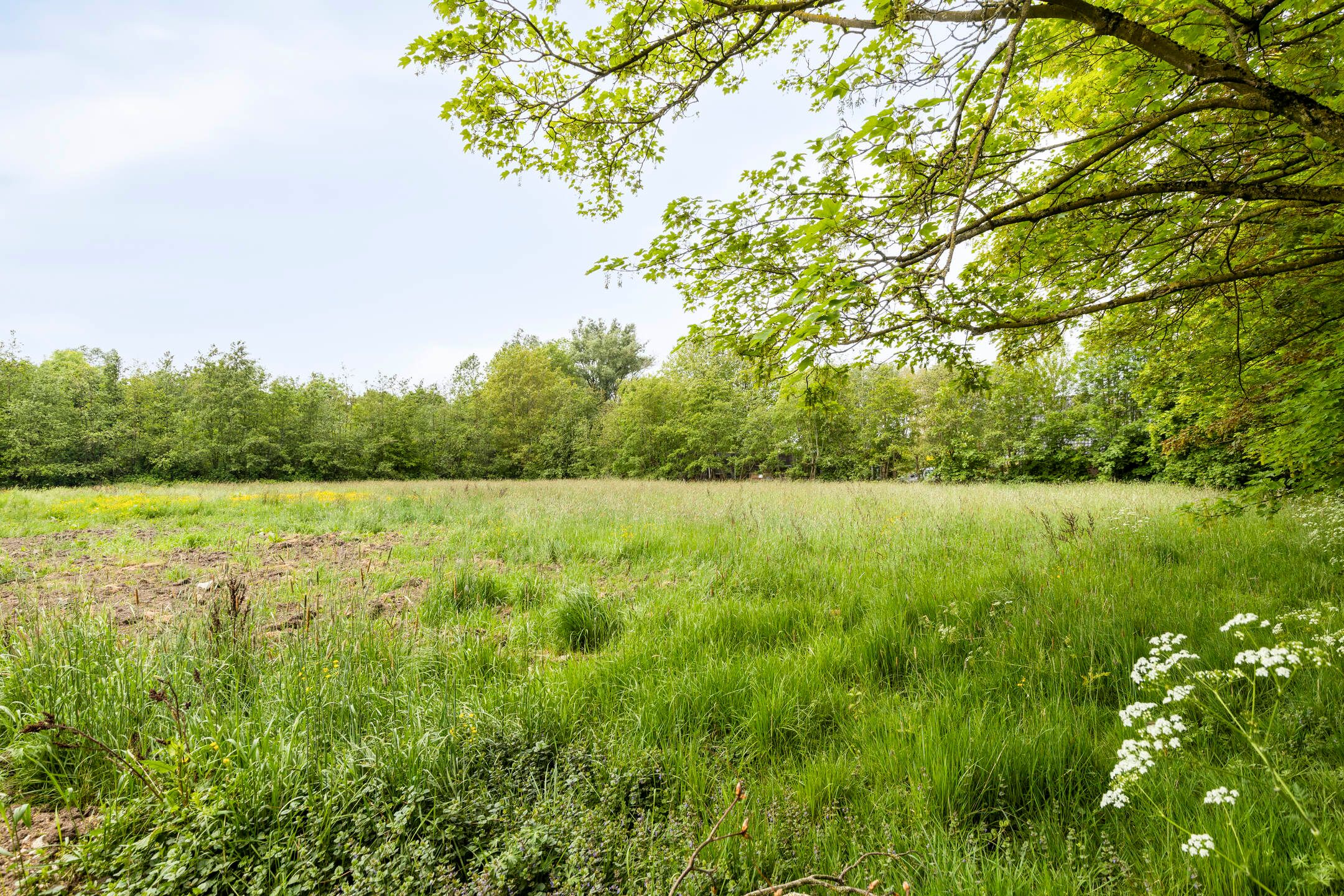 Photo 6 of Van Heemstraweg 14a