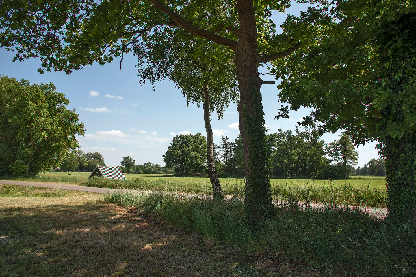 Photo 10 of Ganzebosweg