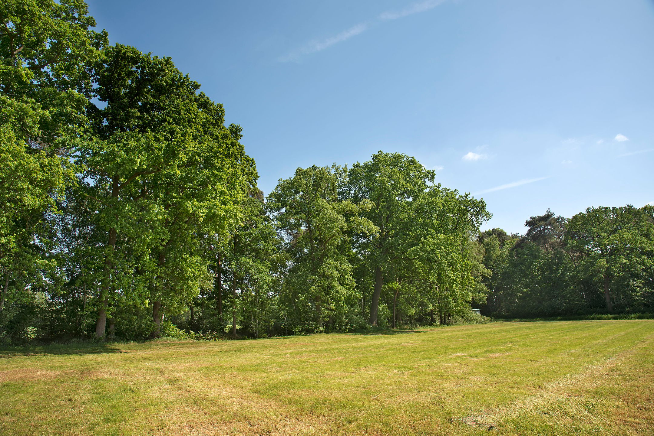Photo 3 of Ganzebosweg