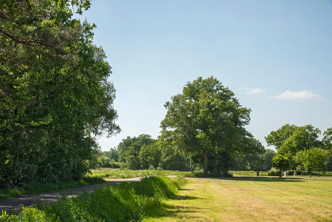 Photo 11 of Ganzebosweg