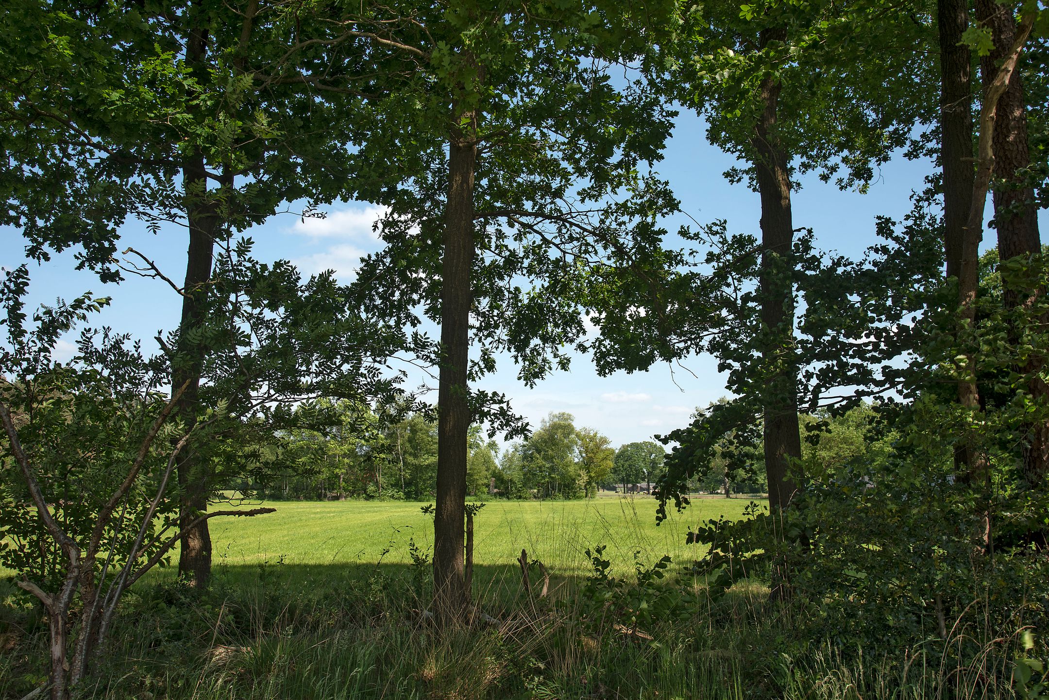 Photo 6 of Ganzebosweg