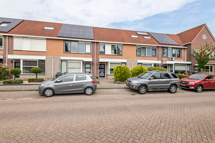 Foto 2 van Duifkruid 11