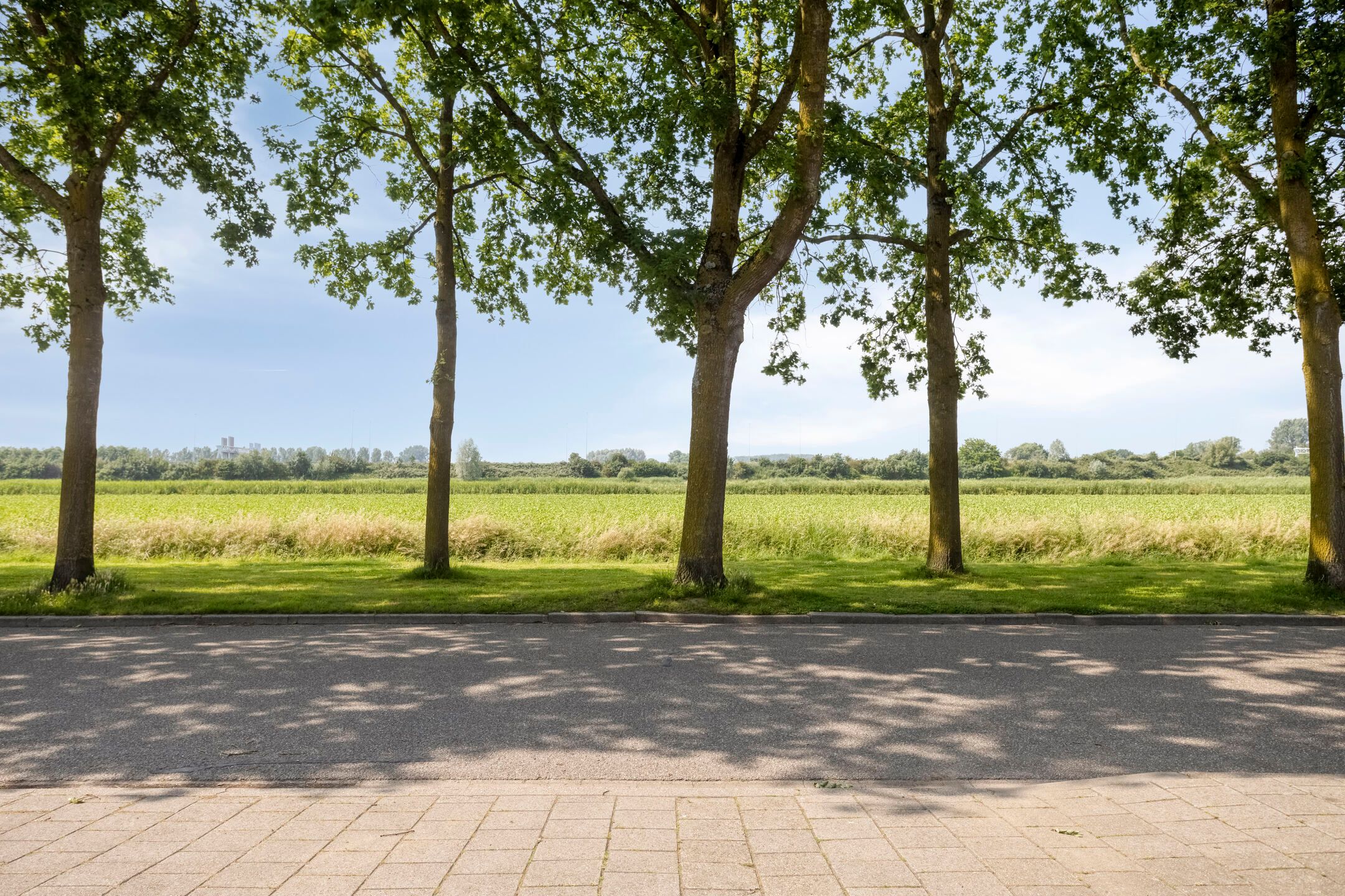 Photo 42 of Burgemeester Sprengerlaan 3
