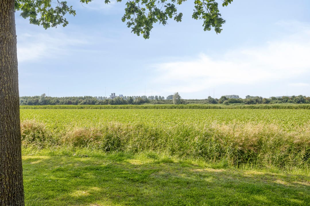 Photo 43 of Burgemeester Sprengerlaan 3