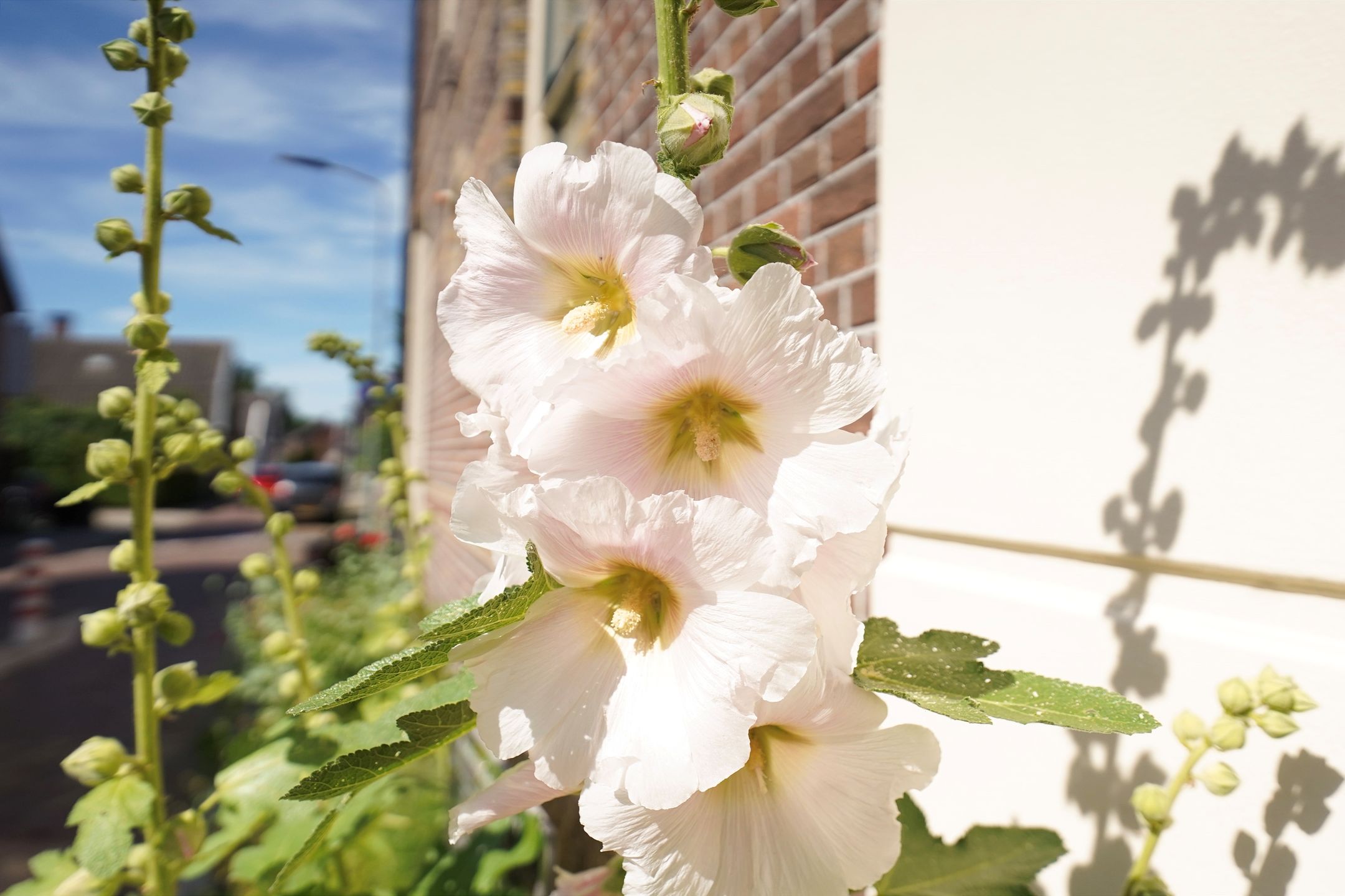 Foto 42 van Papiermakerstraat 9-E
