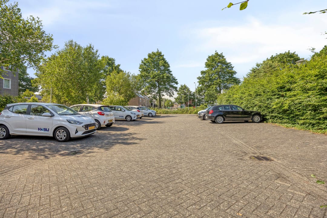 Photo 43 of De Zevenster 19
