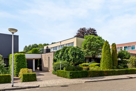 Frans Halsstraat thumbnail