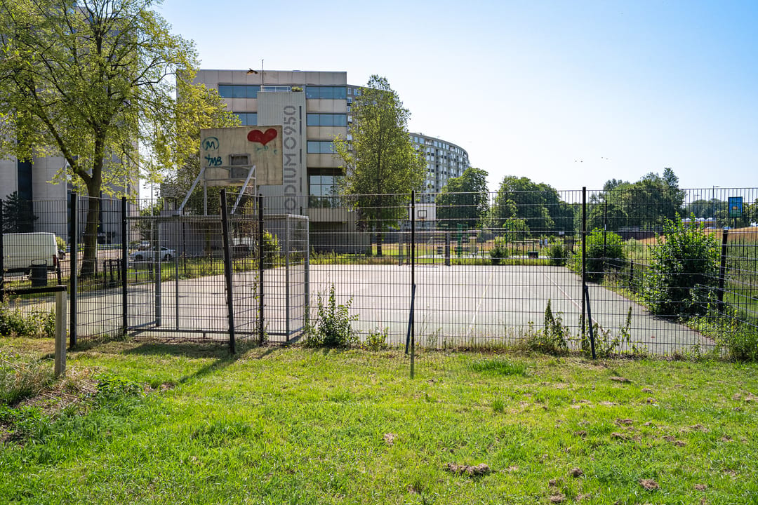 Photo 47 of Buizenwerf 161