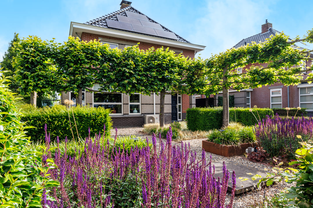 Photo 61 of De Tolboom 25