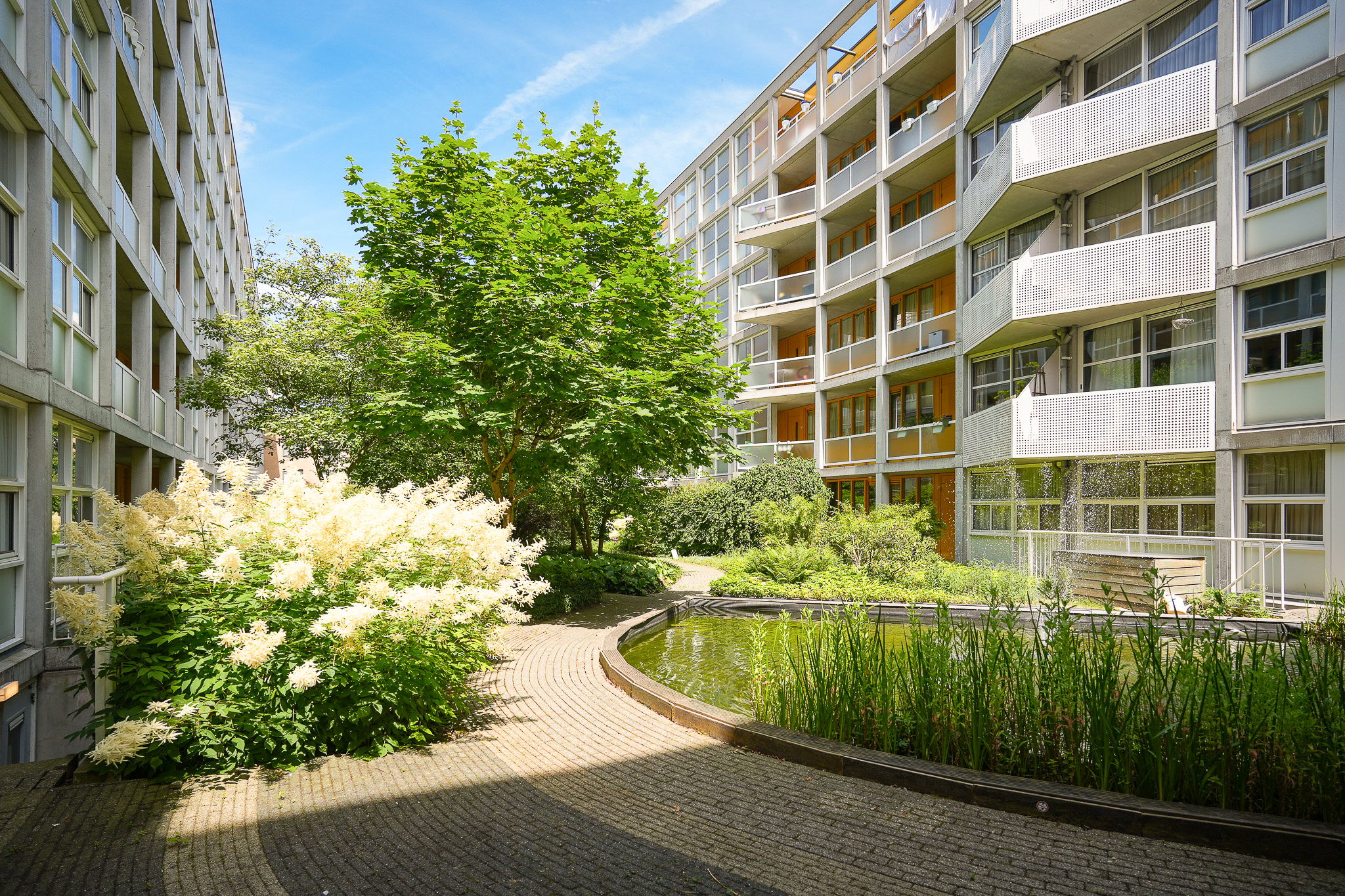 Photo 21 of Hartingstraat 221