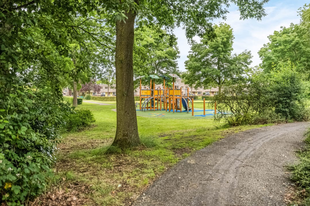 Photo 32 of Paukenpad 3