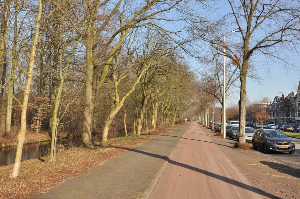 Photo 27 of Bezuidenhoutseweg 303