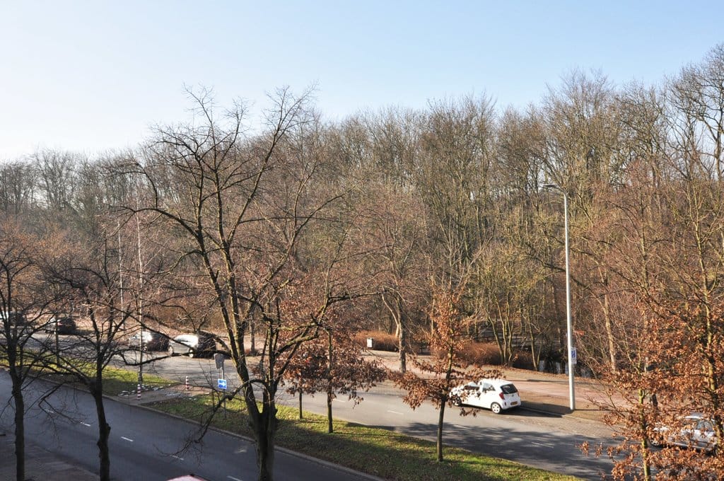 Photo 13 of Bezuidenhoutseweg 303
