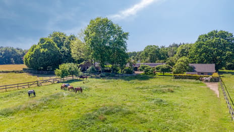 Heideweg thumbnail
