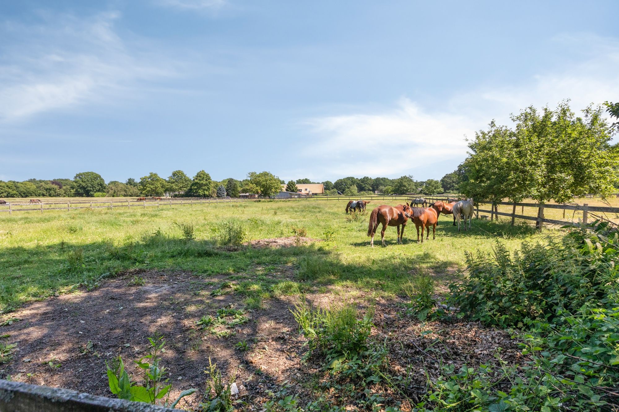 Photo 75 of Heideweg 6