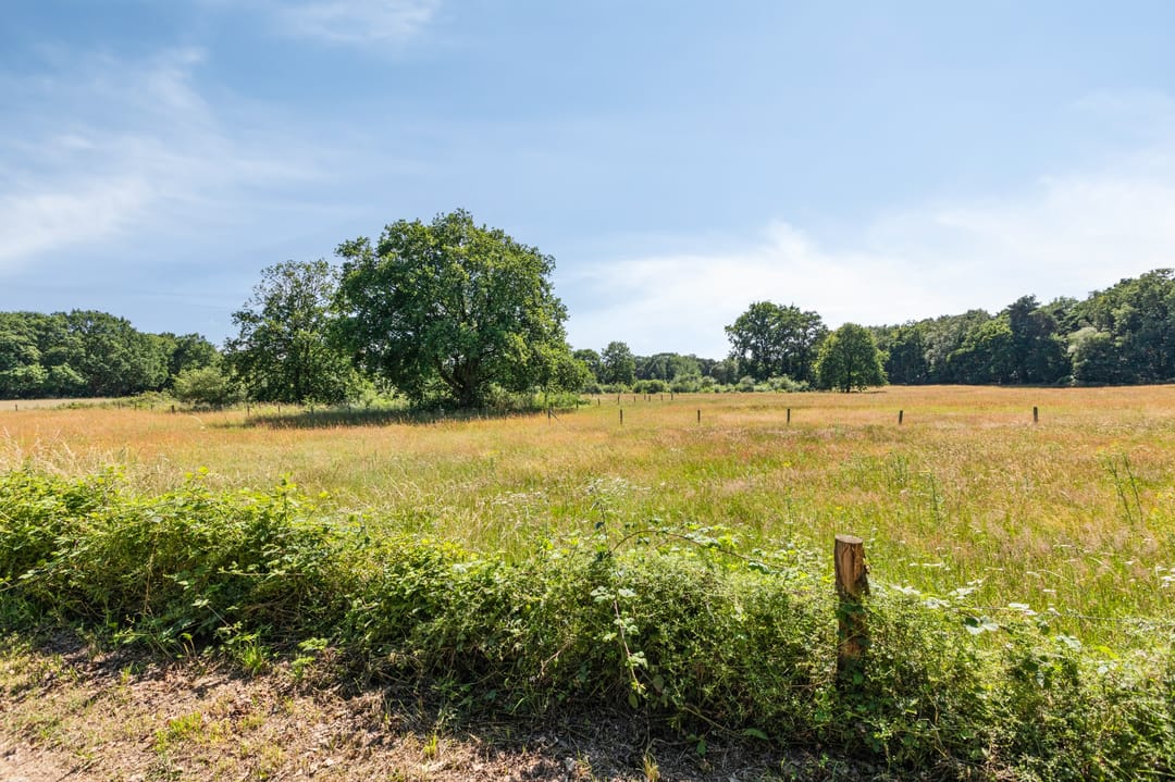 Photo 83 of Heideweg 6