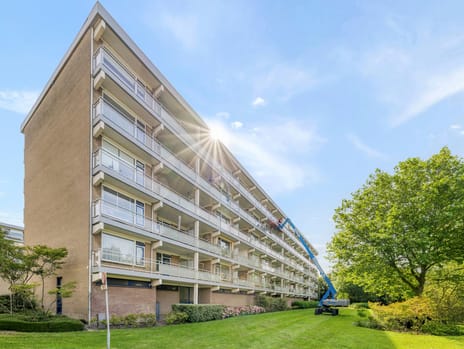 Boerhaavelaan thumbnail