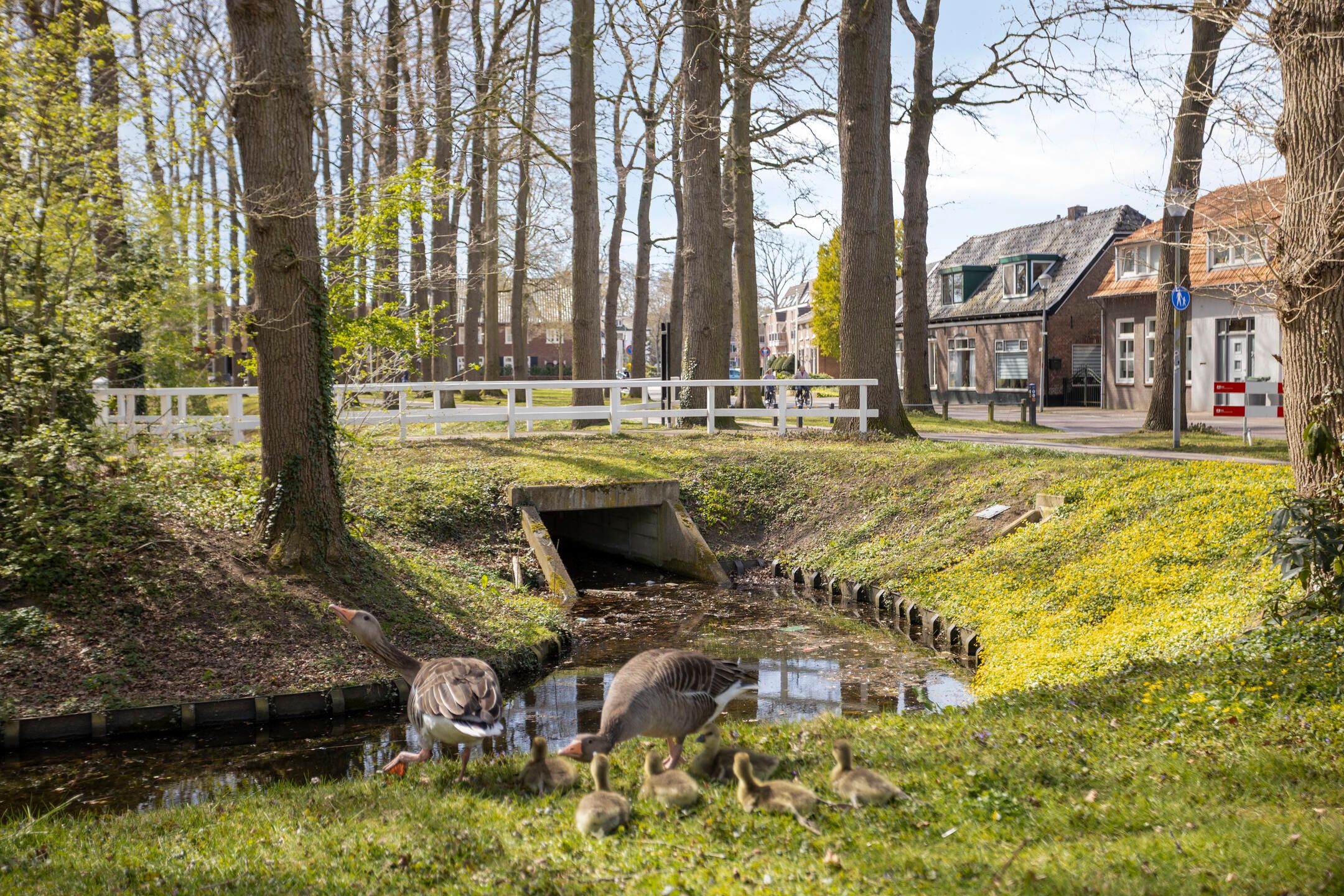 Photo 78 of Kasteellaan 59
