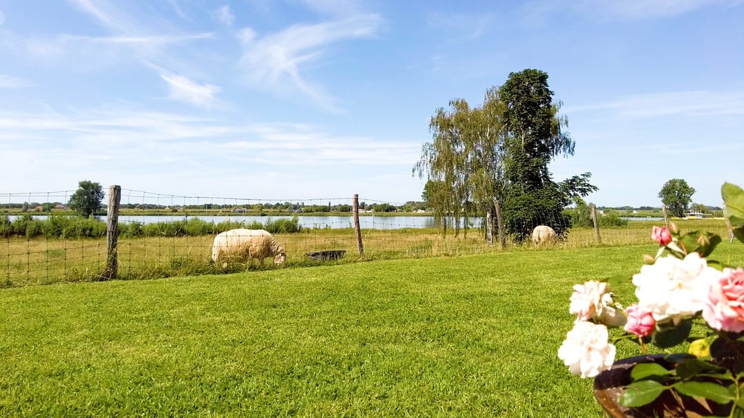 Photo 41 of Oijense Benedendijk 15