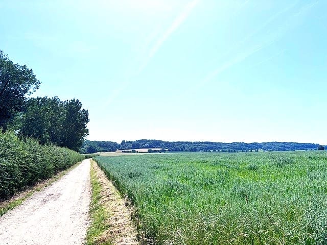 Photo 65 of Savelsbosch 16