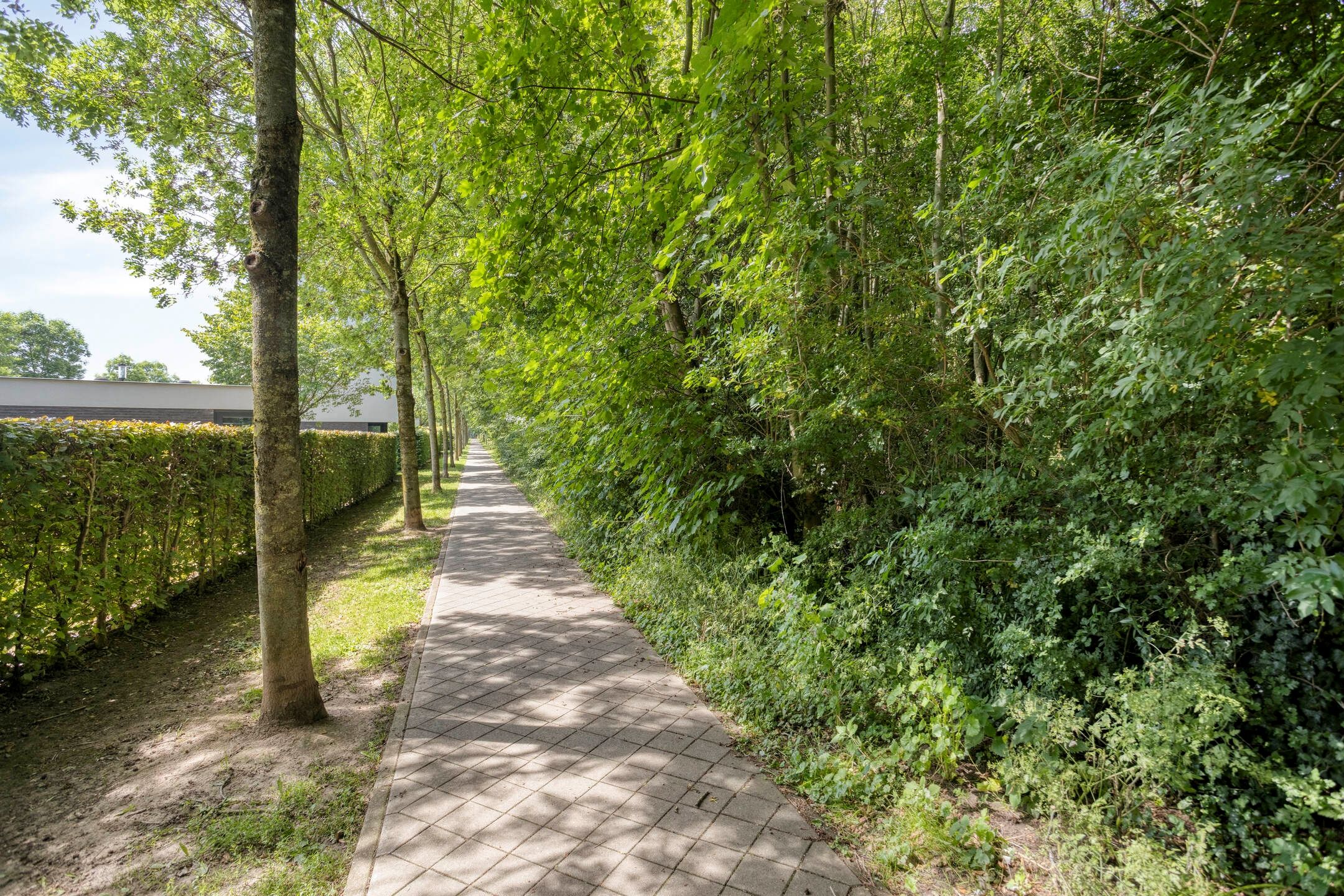 Photo 63 of Savelsbosch 16