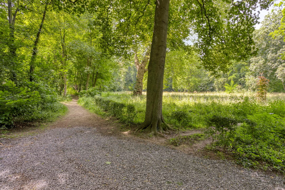 Photo 62 of Savelsbosch 16