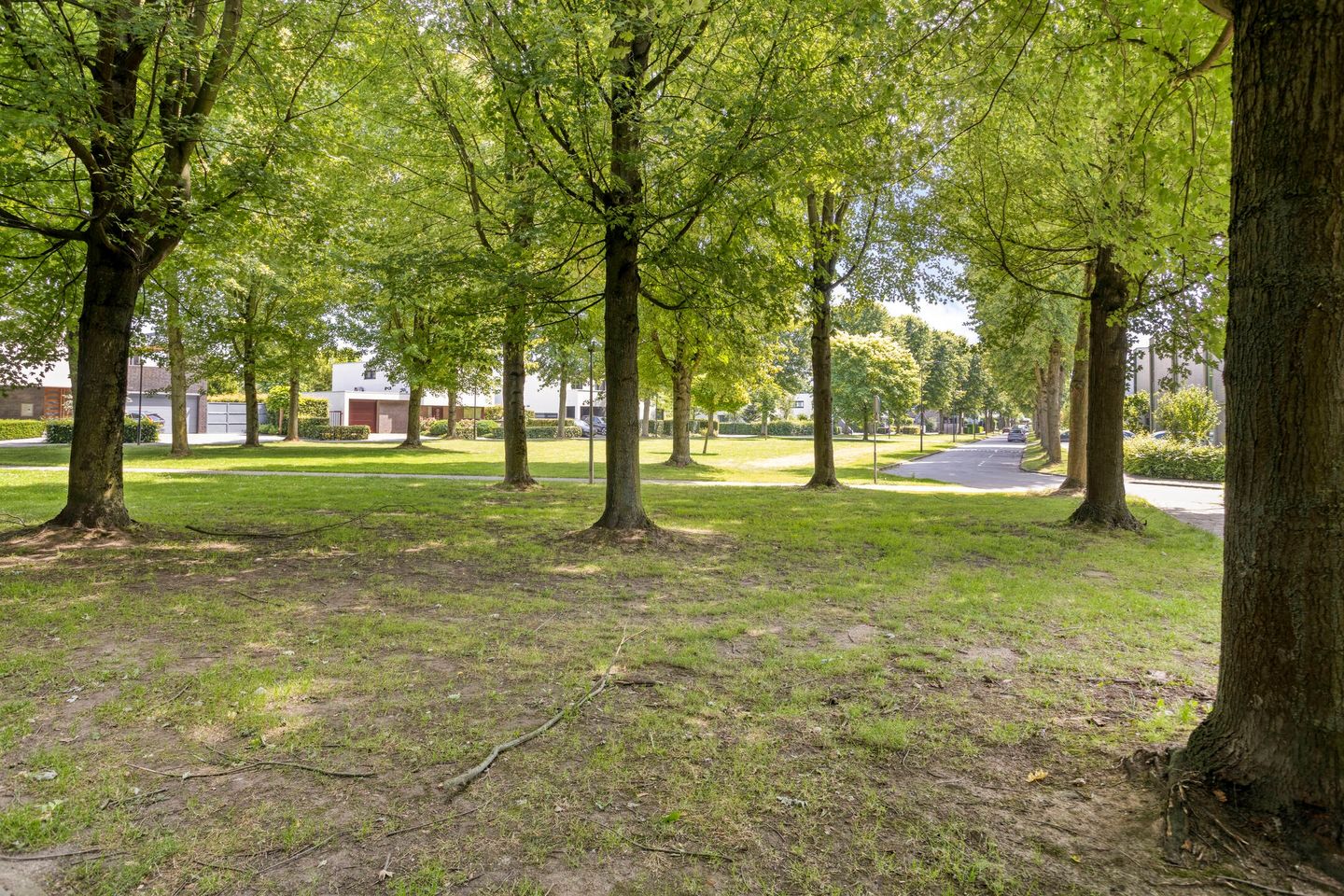 Photo 64 of Savelsbosch 16
