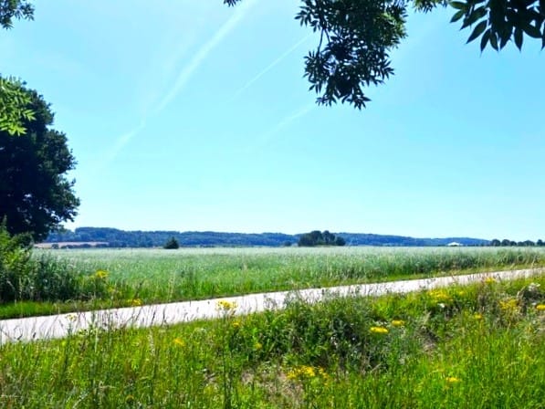 Photo 66 of Savelsbosch 16