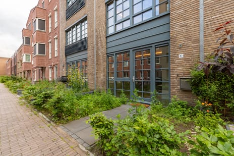 Roemeniëstraat thumbnail