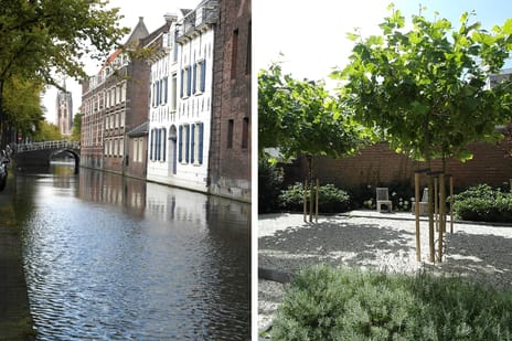 Bekijk foto's