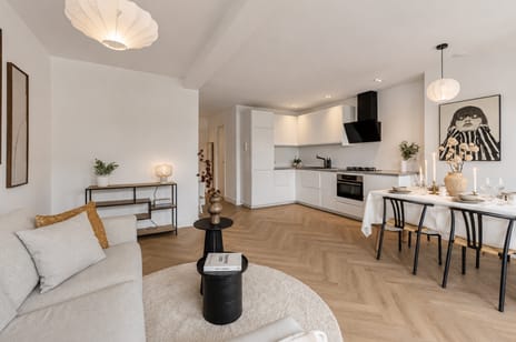 Ruyschstraat thumbnail