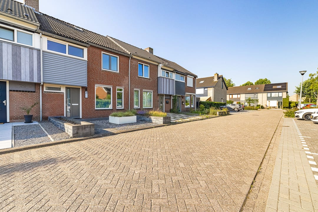 Foto 46 van Dasseburcht 31