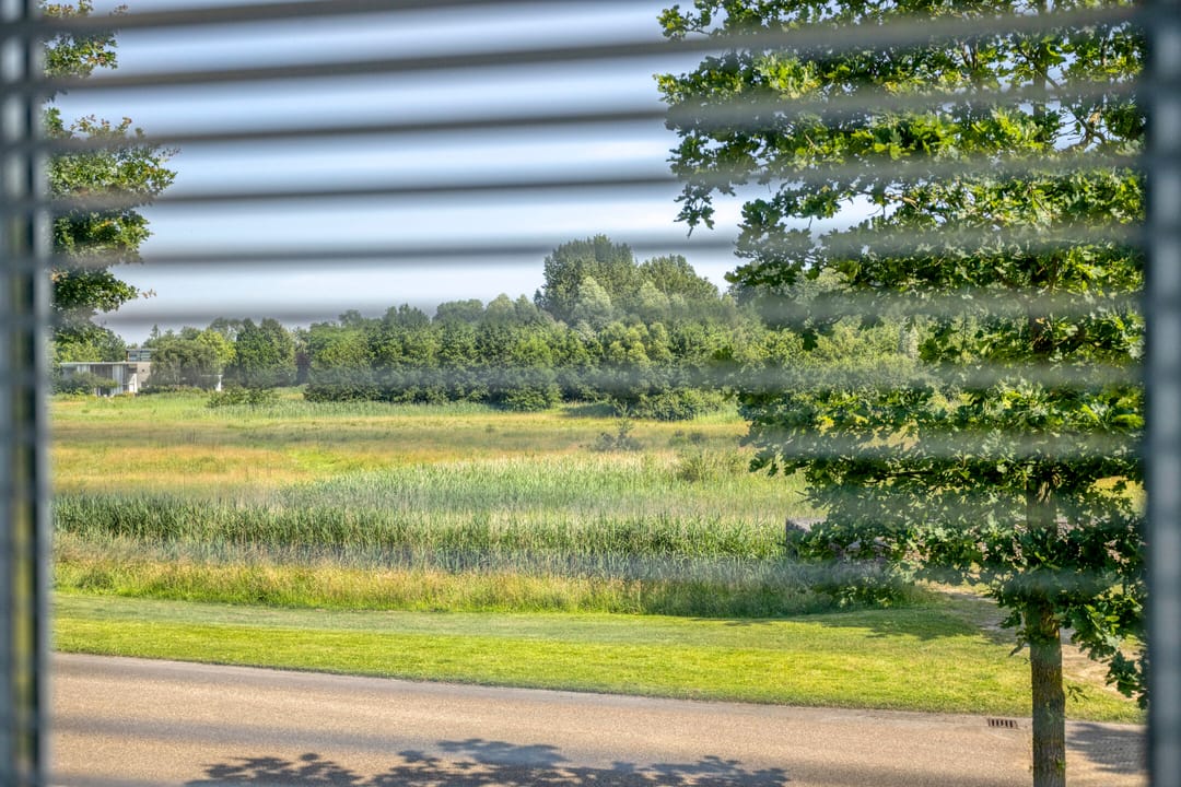 Photo 56 of Rombout Verhulstlaan 1