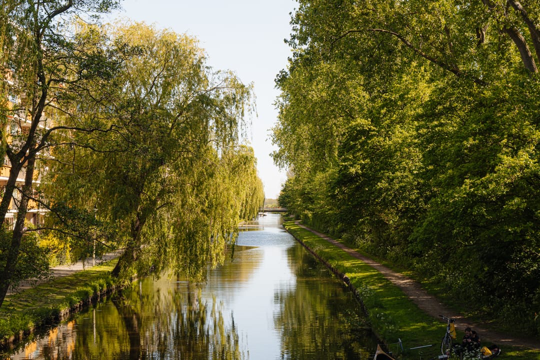 Photo 38 of Van Polanenpark 80