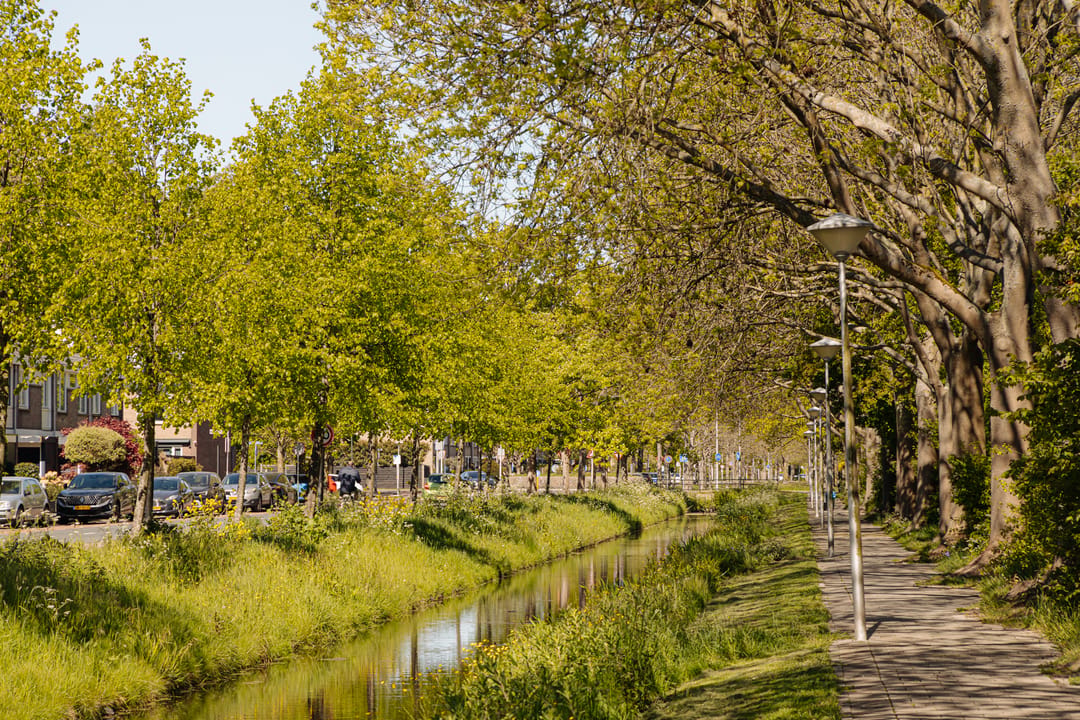 Photo 37 of Van Polanenpark 80