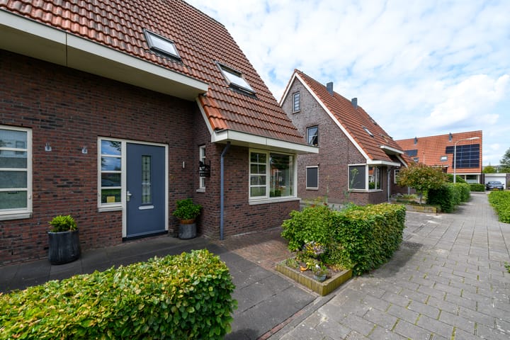 Foto 2 van Kleine vos 6