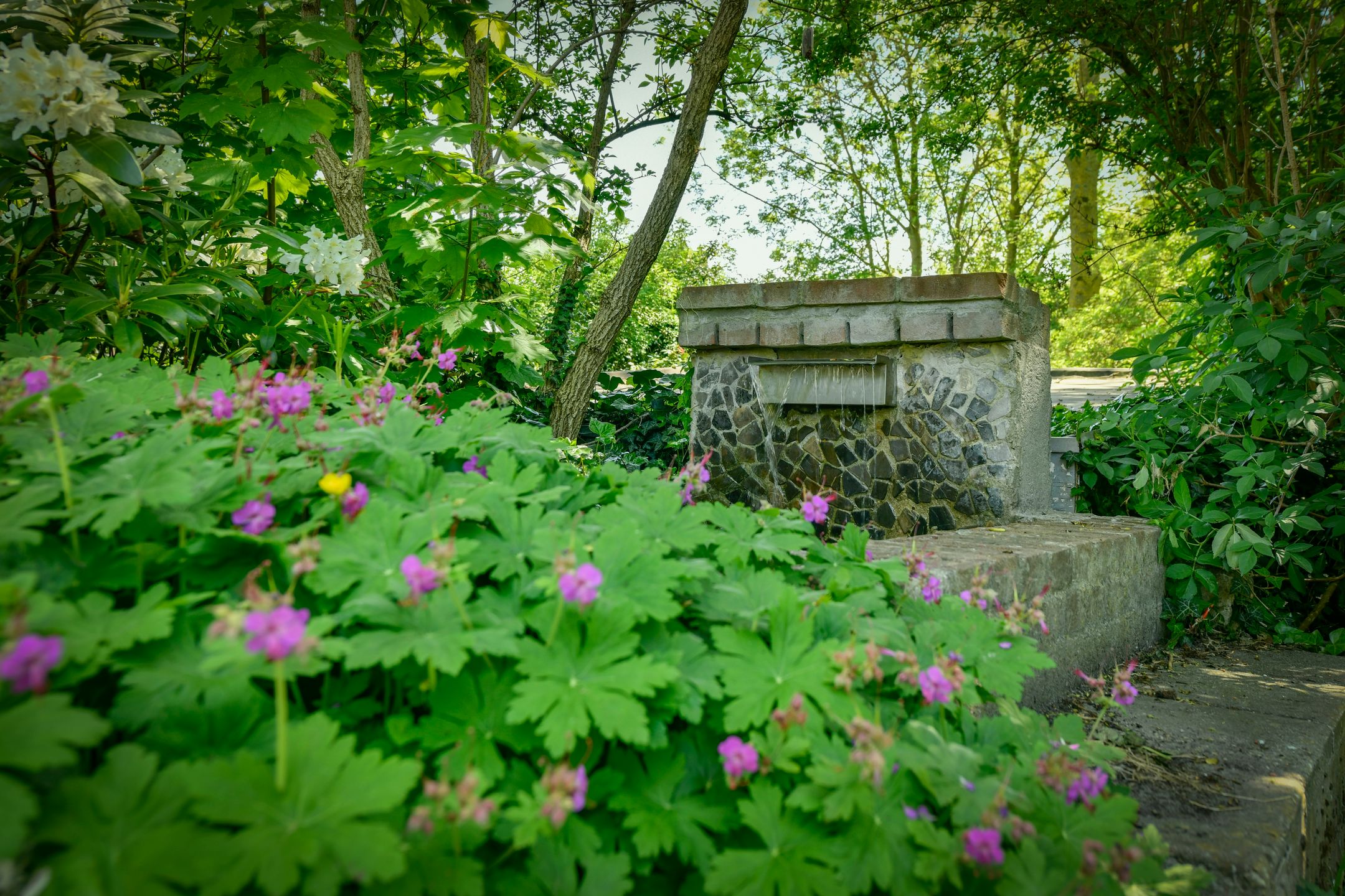 Photo 45 of Broekermeerdijk 31