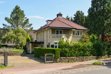 Birkstraat thumbnail