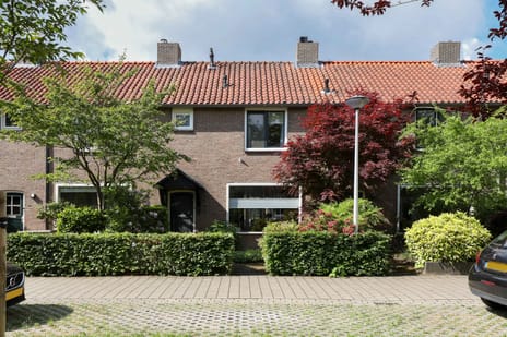 Plataanweg thumbnail