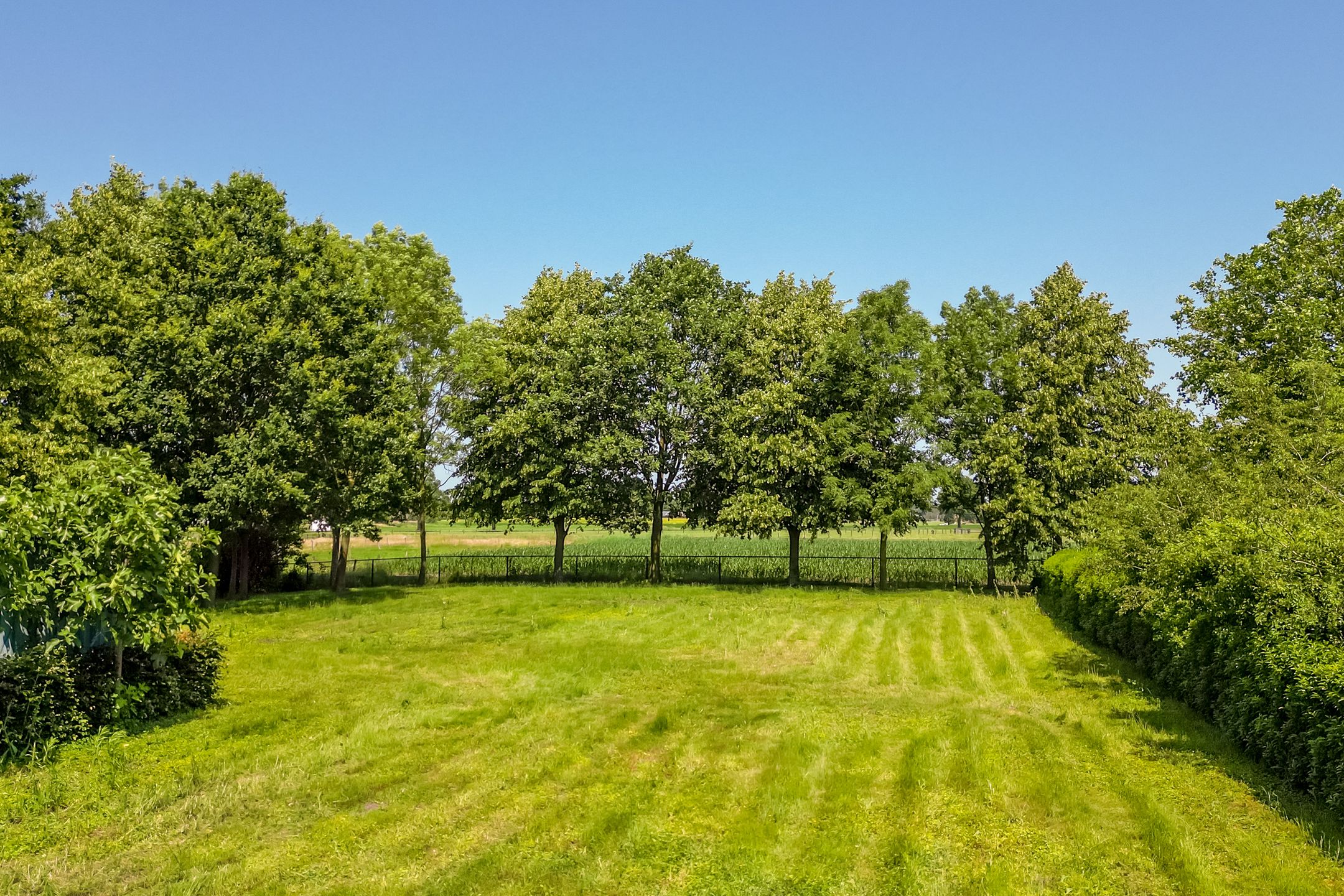 Photo 57 of Alphensebaan 5-A